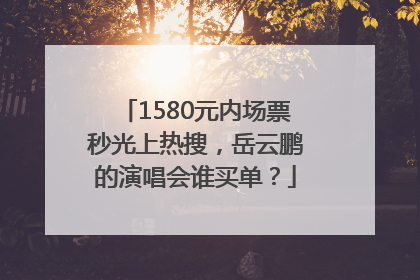 1580元内场票秒光上热搜，岳云鹏的演唱会谁买单？
