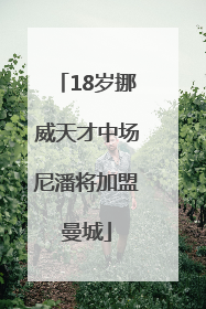 18岁挪威天才中场尼潘将加盟曼城