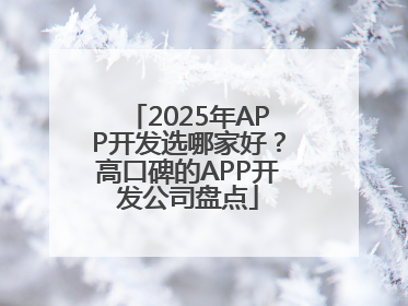 2025年APP开发选哪家好？高口碑的APP开发公司盘点