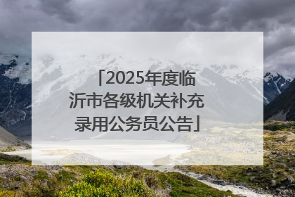 2025年度临沂市各级机关补充录用公务员公告