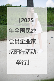 2025年全国民建会员企业家岳阳行活动举行