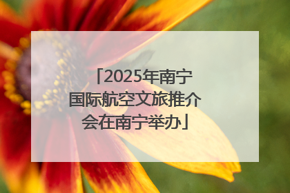 2025年南宁国际航空文旅推介会在南宁举办