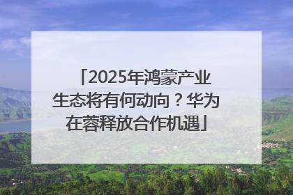 2025年鸿蒙产业生态将有何动向？华为在蓉释放合作机遇