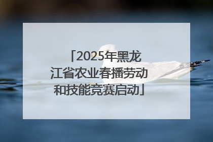 2025年黑龙江省农业春播劳动和技能竞赛启动