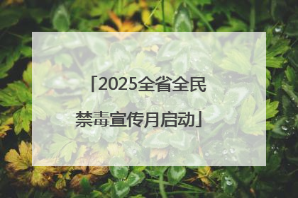 2025全省全民禁毒宣传月启动