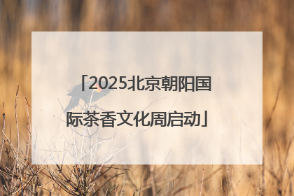 2025北京朝阳国际茶香文化周启动