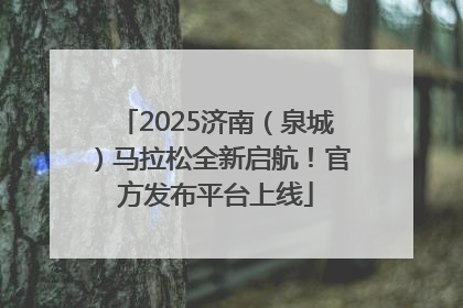 2025济南（泉城）马拉松全新启航！官方发布平台上线