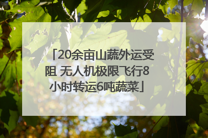 20余亩山蔬外运受阻 无人机极限飞行8小时转运6吨蔬菜