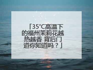 35℃高温下的福州茉莉花越热越香 背后门道你知道吗？