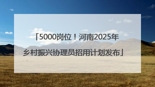5000岗位！河南2025年乡村振兴协理员招用计划发布