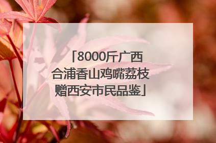 8000斤广西合浦香山鸡嘴荔枝赠西安市民品鉴