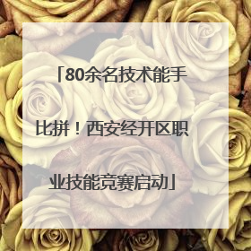 80余名技术能手比拼！西安经开区职业技能竞赛启动