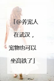 @养宠人 在武汉，宠物也可以坐高铁了