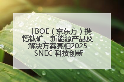 BOE（京东方）携钙钛矿、新能源产品及解决方案亮相2025 SNEC 科技创新赋能行业绿色发展