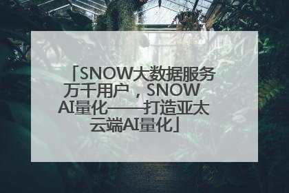 SNOW大数据服务万千用户，SNOW AI量化——打造亚太云端AI量化