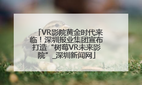 VR影院黄金时代来临！深圳报业集团宣布打造“树莓VR未来影院”_深圳新闻网